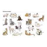 Big Cats, Little Cats: A Visual Guide to the World's Cats
