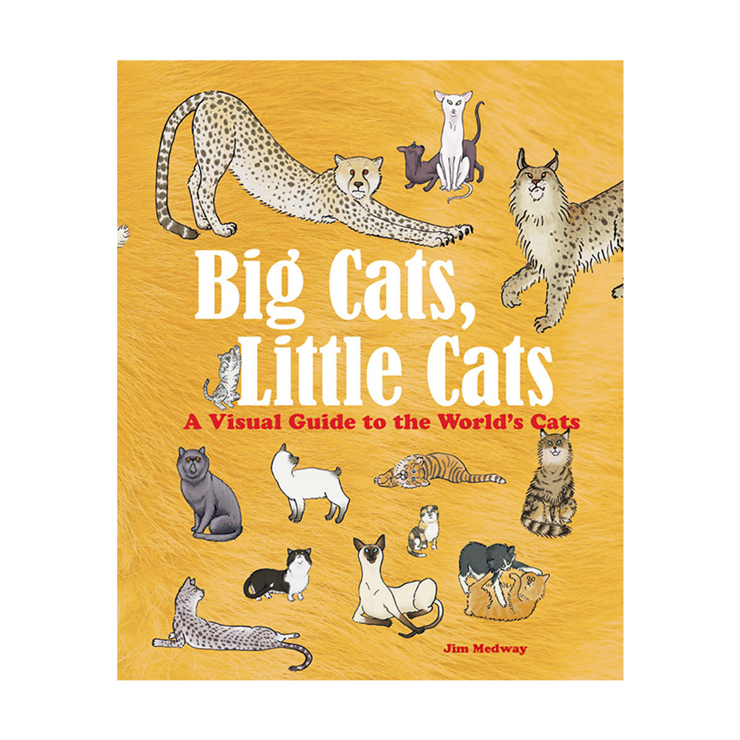 Big Cats, Little Cats: A Visual Guide to the World's Cats
