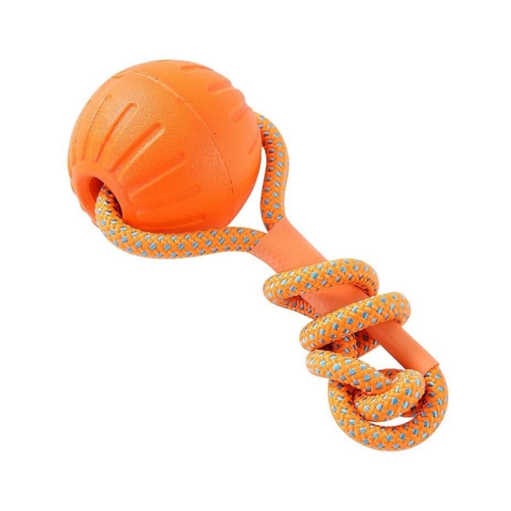 Paws & Claws Fetch N' Float Ball with rope