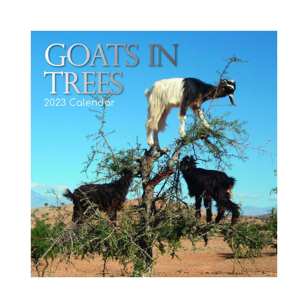 2023 Square Wall Calendar - Animals