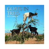 2023 Square Wall Calendar - Animals