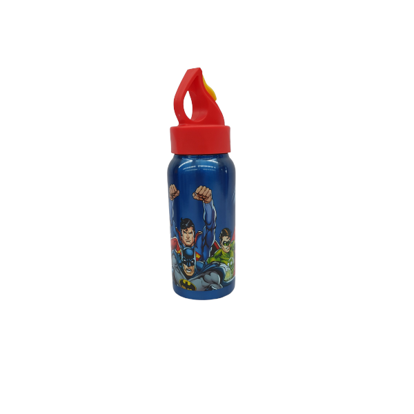ZAK! Stainless Steel Printed water Bottles for Kids
