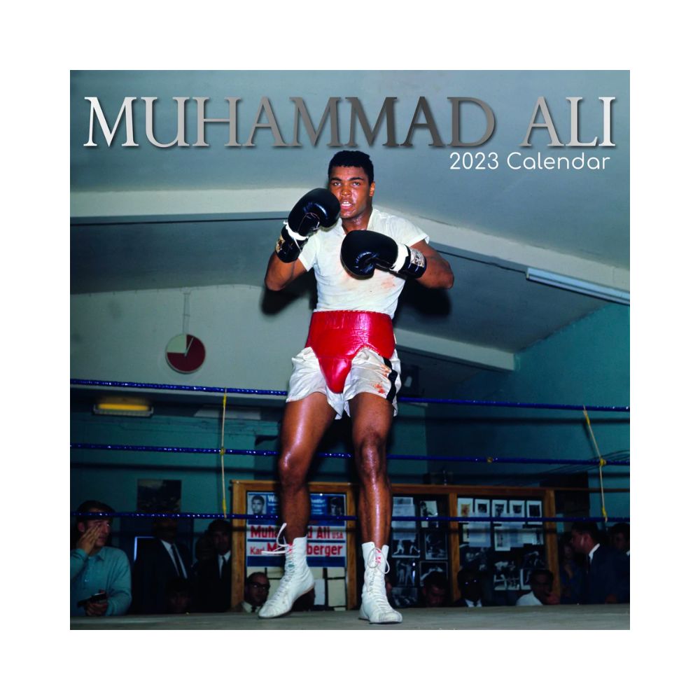 2023 Square Wall Calendar - Icons