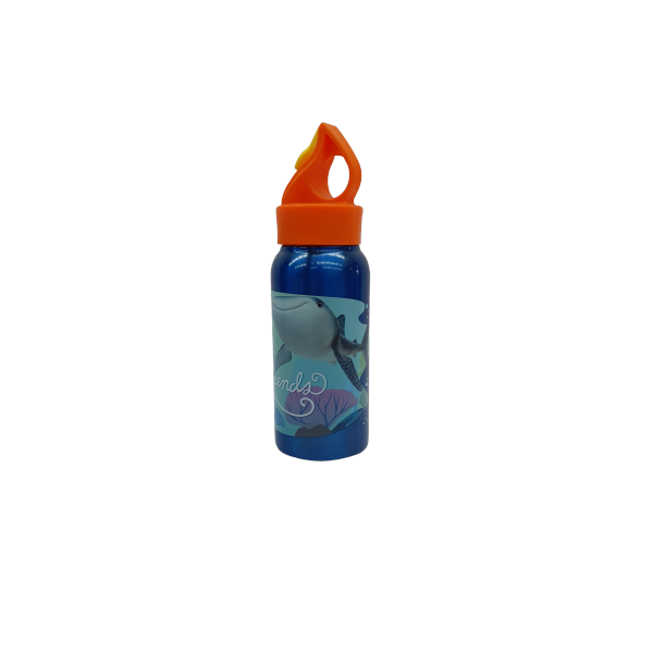 ZAK! Stainless Steel Printed water Bottles for Kids