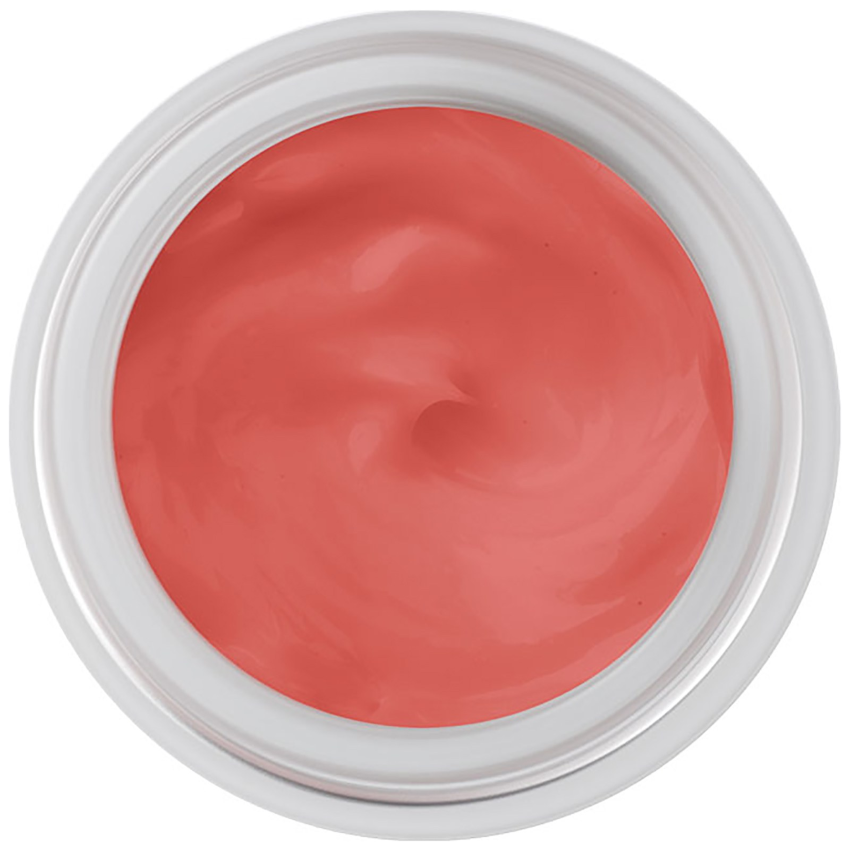 Kiss Pot Rose Lip Balm by Hailey Baldwin for ModelCo 9.6g