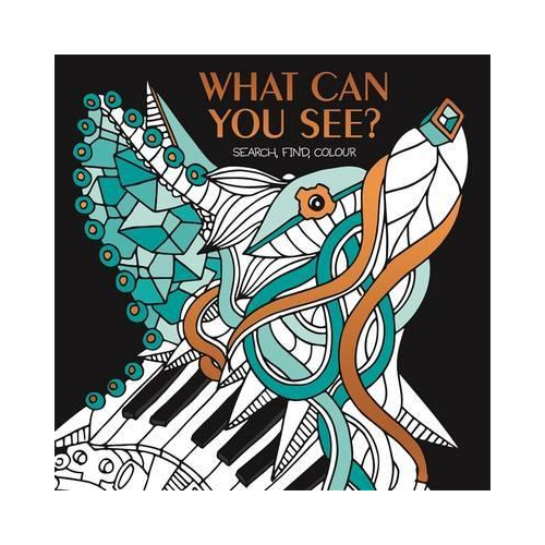 What Can You See Search Find Colouring Book