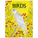 Birds Adult Colouring Book