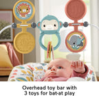 Fisher-Price Baby's Bouncer