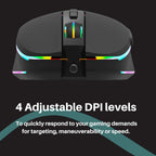Philips Momentum Gaming Wired Mouse