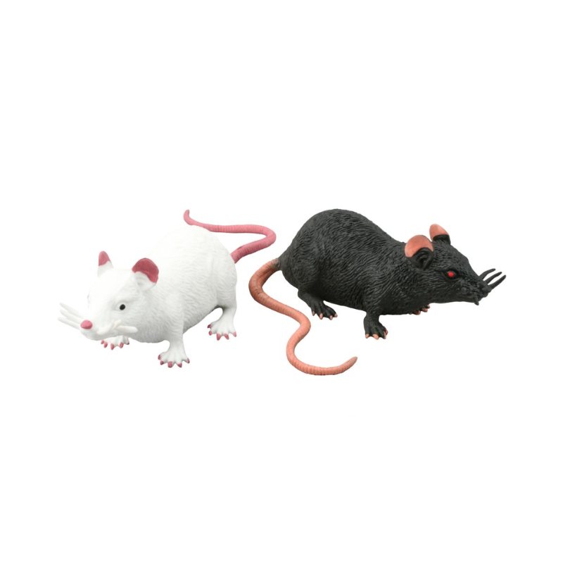 3 Pack x Stretchy Rat Beanies