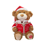 Nice & Nifty Christmas Storytelling Bear