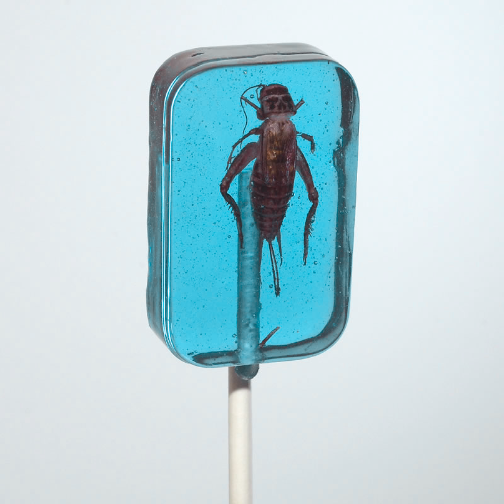 Hotlix Cricket Lick-It Suckers 31g – Real Crickets in Hard Candy