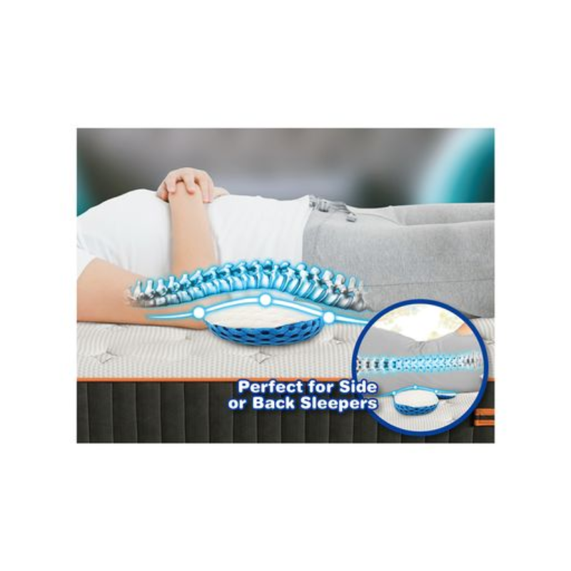 Vistara Cozy Curve Lumbar Support Pillow