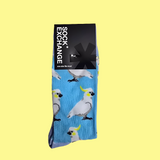 Sock Exchange - Cockatoos