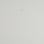 Newgate Mr Edwards Clock Matte Blizzard Grey