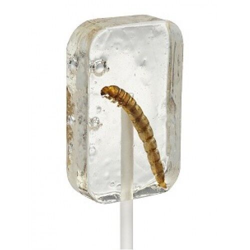 Hotlix Tequila Flavoured Worm Suckers 31g - With Real Worm Inside