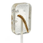 Hotlix Tequila Flavoured Worm Suckers 31g - With Real Worm Inside
