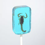 Hotlix Scorpion Suckers 31g Lollipop - With Real Scorpion Inside