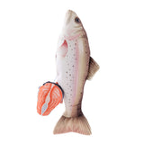 Paws & Claws Surprise Fish Plush Toy - 30x10x5cm