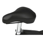 Razor E Punk Electric Mirco Bike - Black
