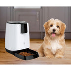 Lenoxx Smart 44cm Auto Feeder Feeding Bowl - White/Black