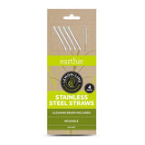Lemon & Lime Stainless Steel Reusable Drinking Straws With Brush Set - Silver