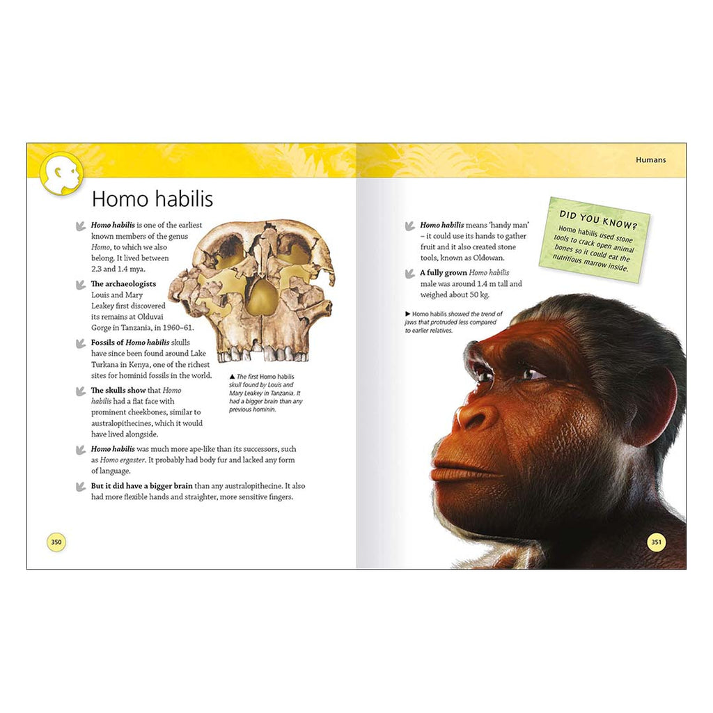 Encyclopedia of Dinosaurs and Prehistoric Life