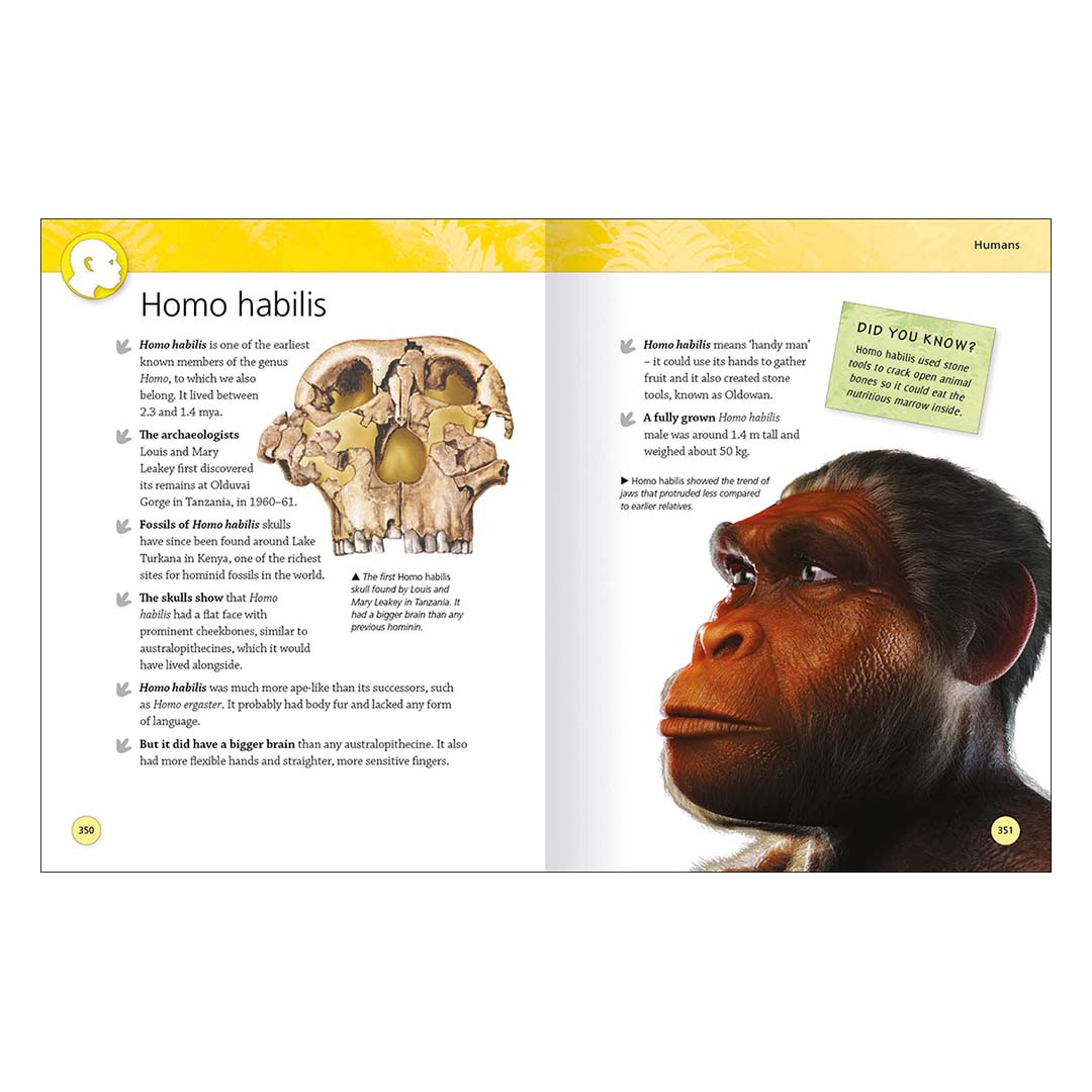 Encyclopedia of Dinosaurs and Prehistoric Life