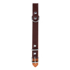 Paws & Claws Original Padded Dog Collar - Medium