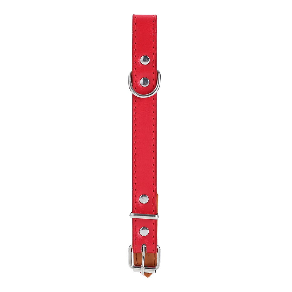 Paws & Claws Original Padded Dog Collar - Medium