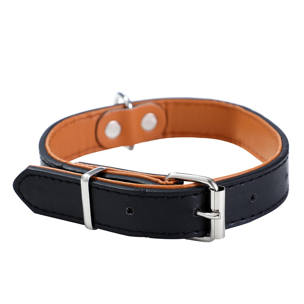 Paws & Claws Original Padded Dog Collar - Medium