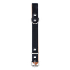 Paws & Claws Original Padded Dog Collar - Medium