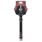 Paws & Claws Original Padded Dog Collar - Medium