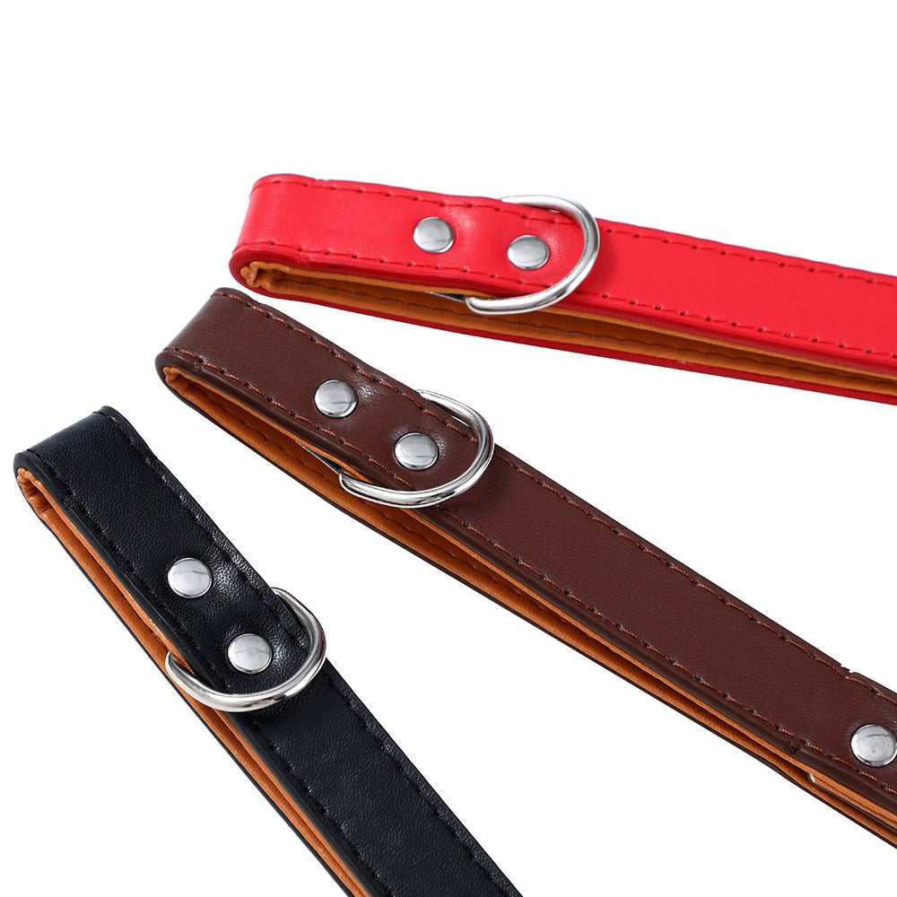 Paws & Claws Original Padded Dog Collar - Medium