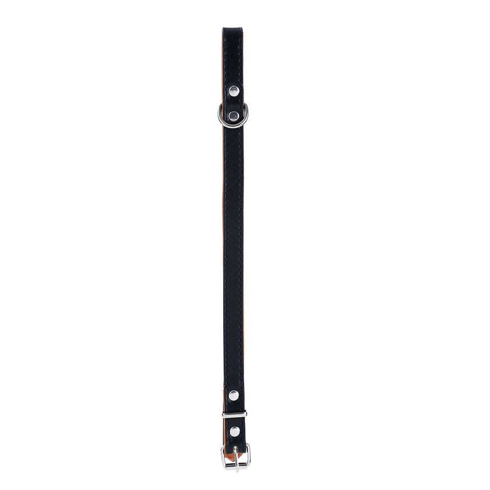 Paws & Claws Original Padded Dog Collar - Small