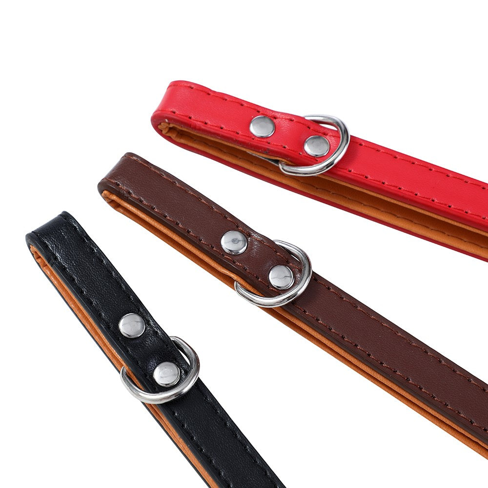 Paws & Claws Original Padded Dog Collar - Small