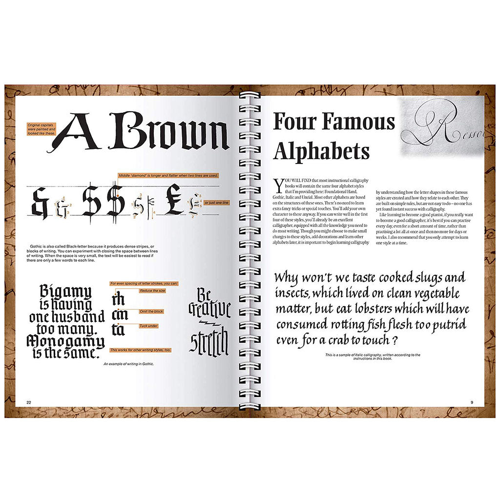 Complete Calligraphy Kit
