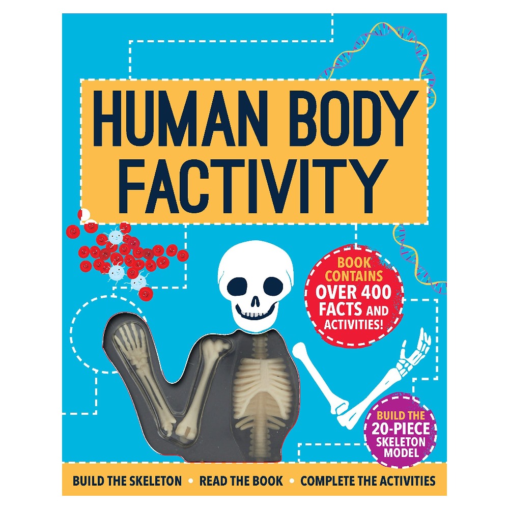 Factivity Human Body Kit