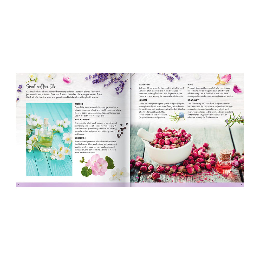 Essential Oils For Health & Wellness Kit