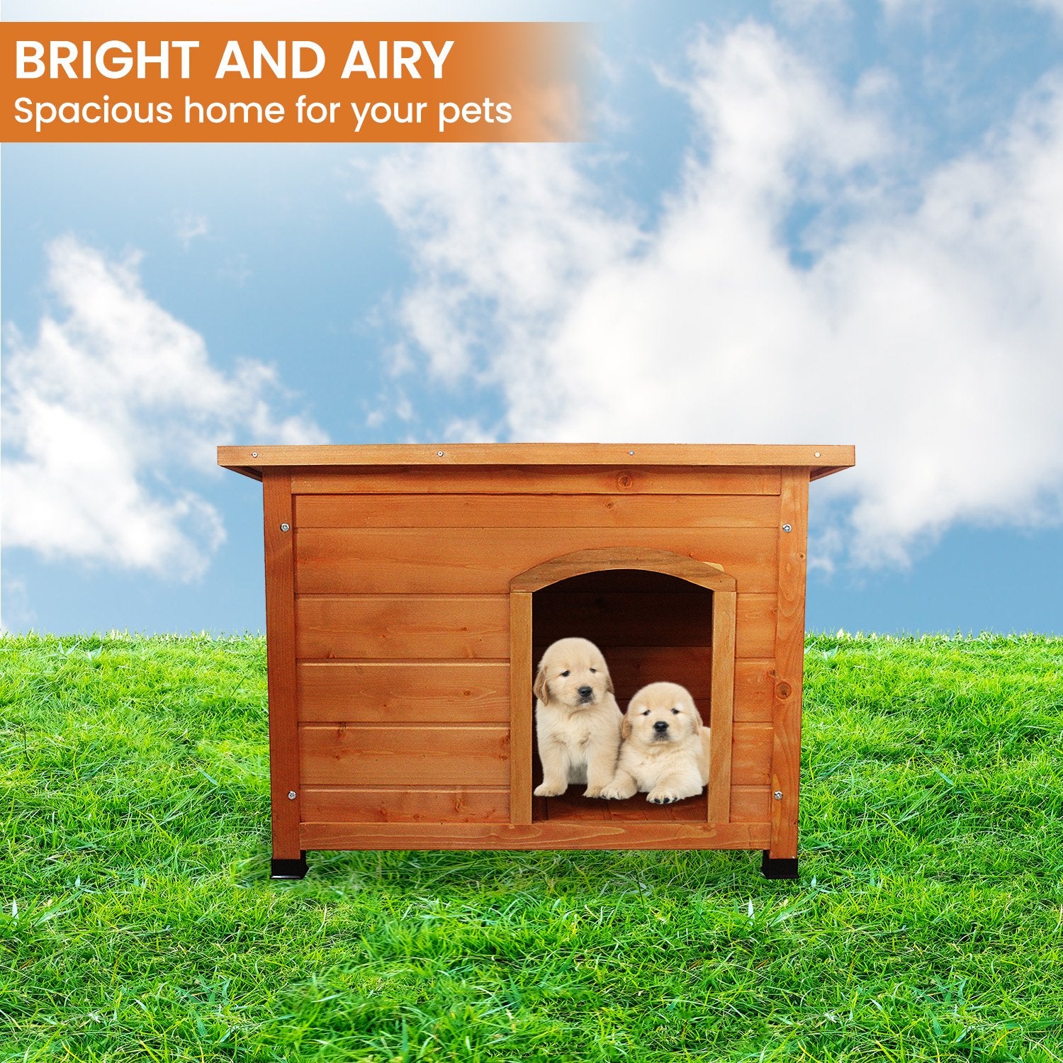 Little Buddies Wooden Flat Roof Dog Kennel - Small