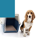 2pcs Waterproof Washable Training Pee Pads -l