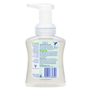 2 Pack x Dettol Foam Hand Wash Aloe Vera Embrace 250ml