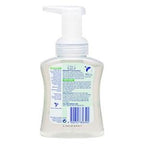 2 Pack x Dettol Foam Hand Wash Aloe Vera Embrace 250ml