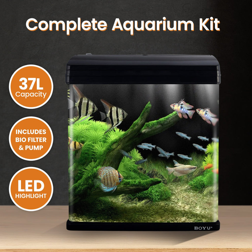37L Aquarium With Bio Filter System LED Kit Curved Design Complete Kit