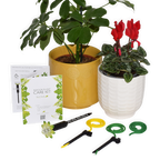 Indoor Plant Care Kit