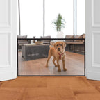 Pet Mesh Guard Gate