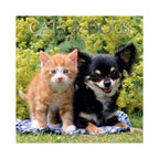 2022 Square Wall Calendar - Animals