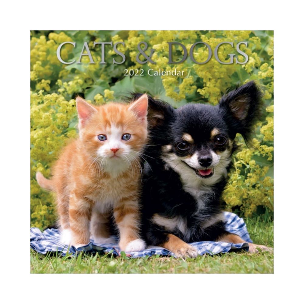 2022 Square Wall Calendar - Animals