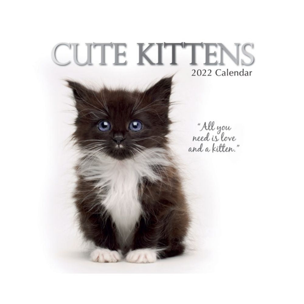 2022 Square Wall Calendar - Animals