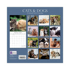 2022 Square Wall Calendar - Animals